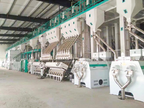 500T/D Rice Mill Plant