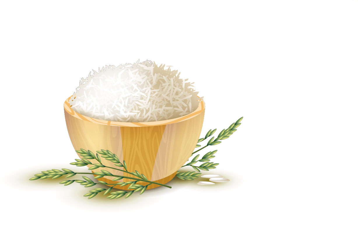для ирригации риса